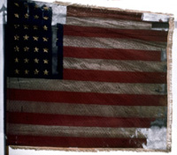 50th Illinois flag