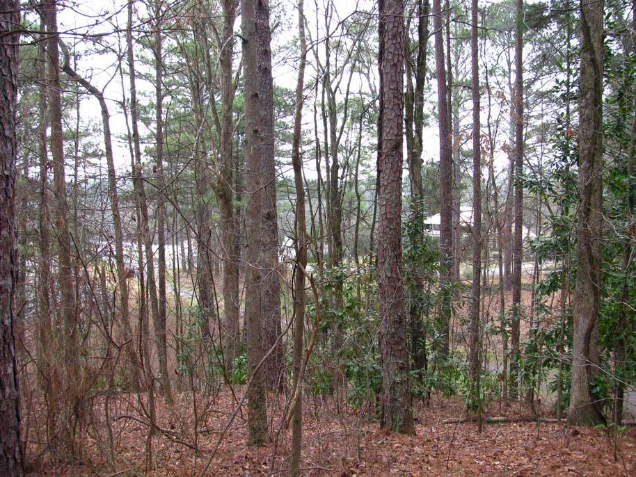 allatoona pass