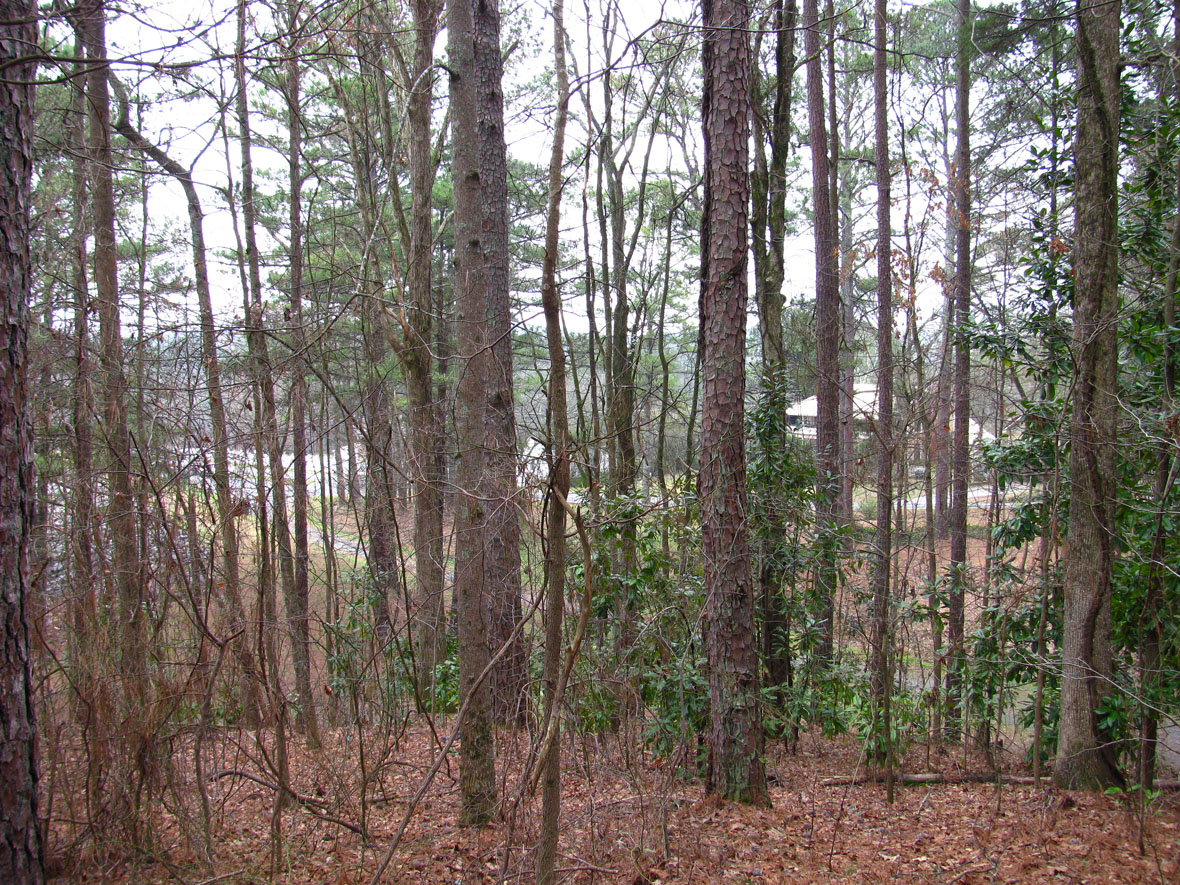 allatoona pass