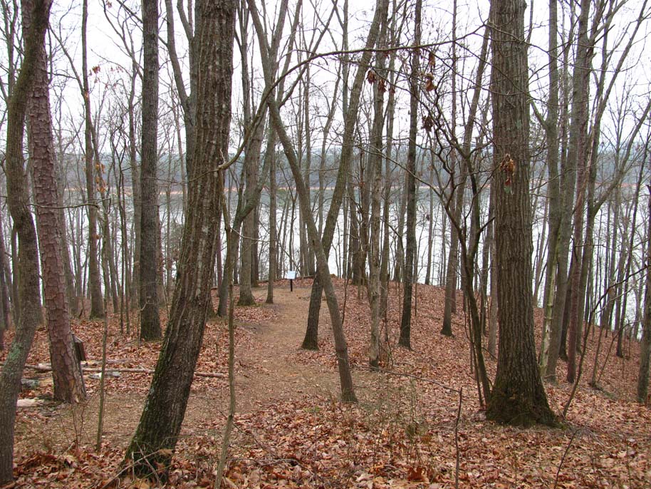 allatoona crows nest