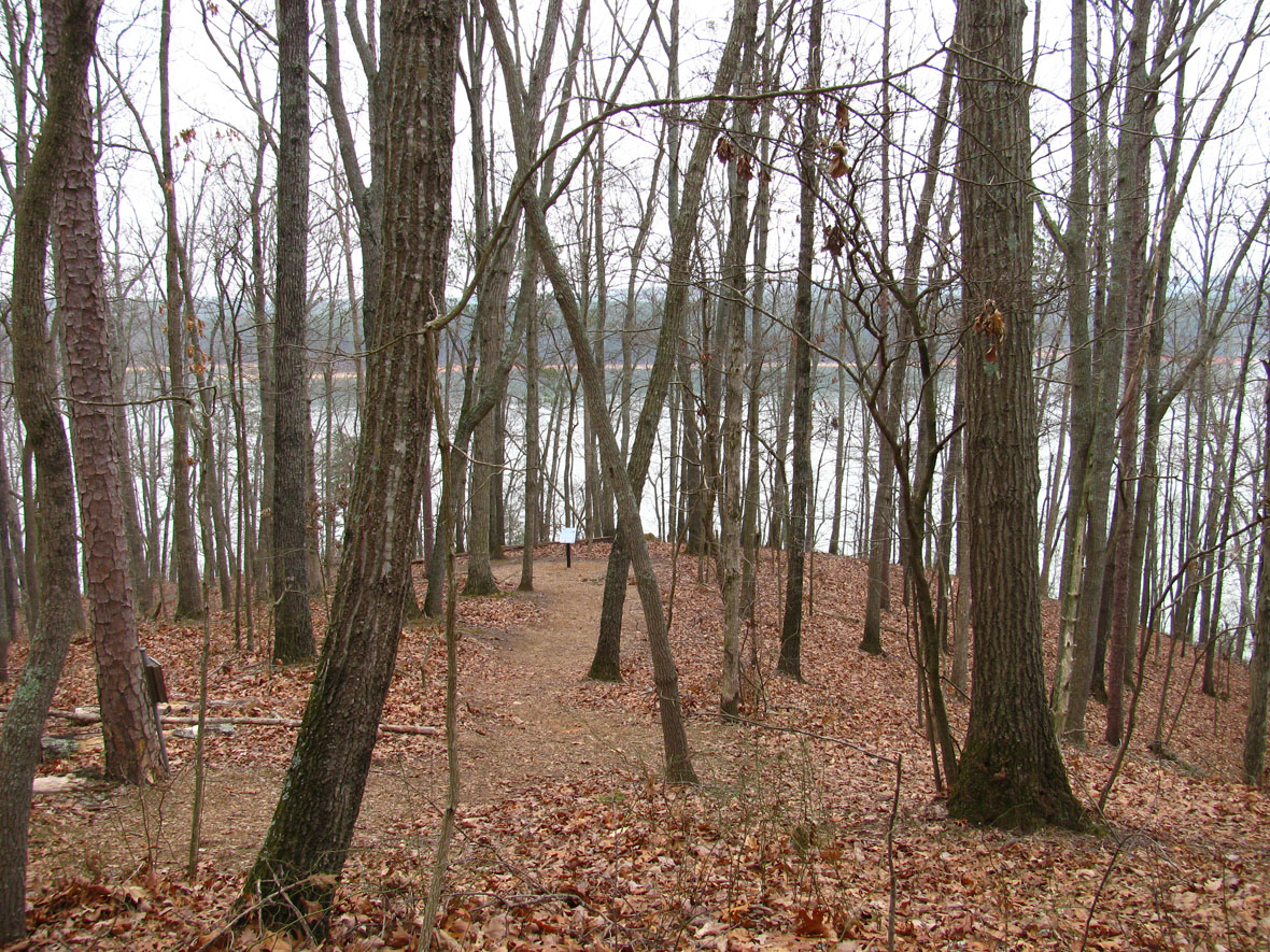 allatoona crows nest