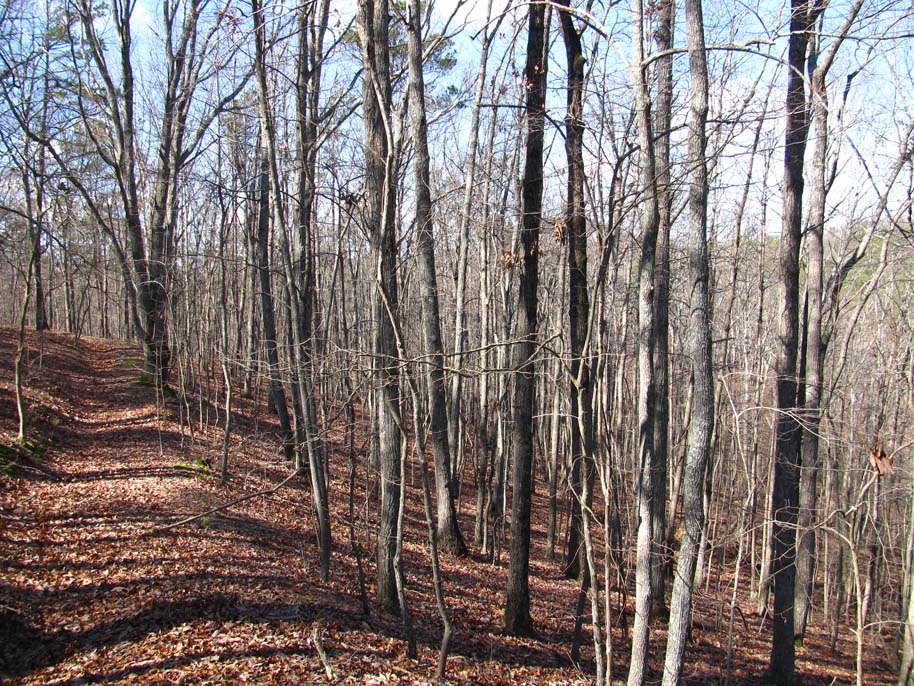allatoona pass