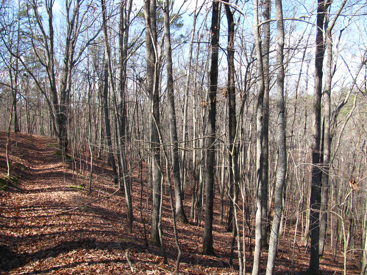 allatoona pass