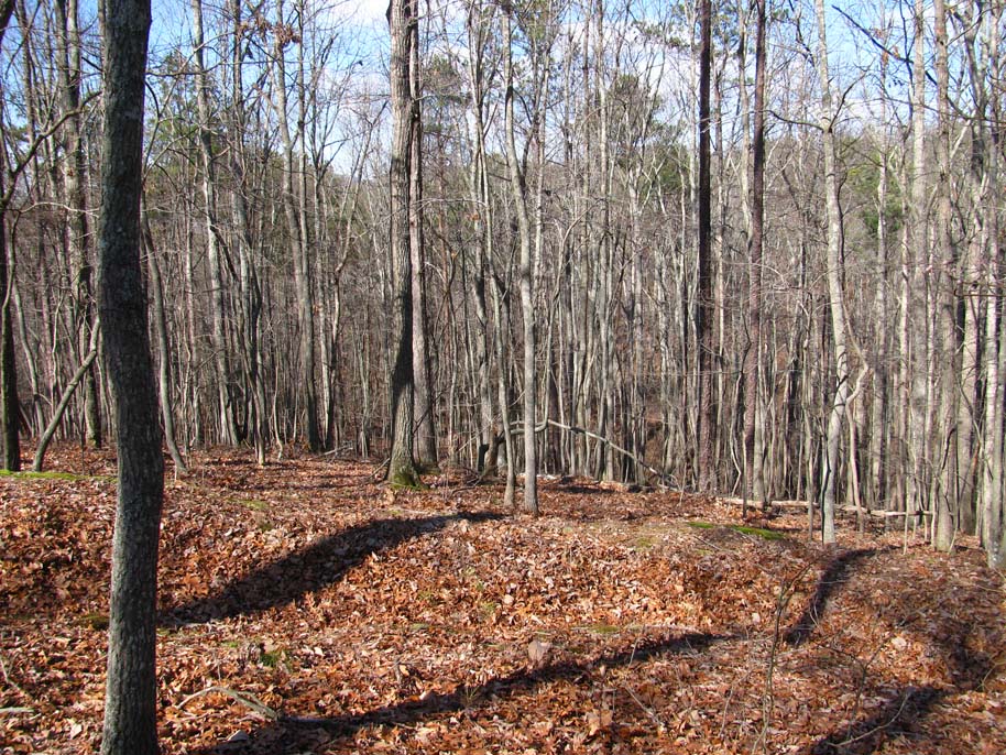allatoona pass