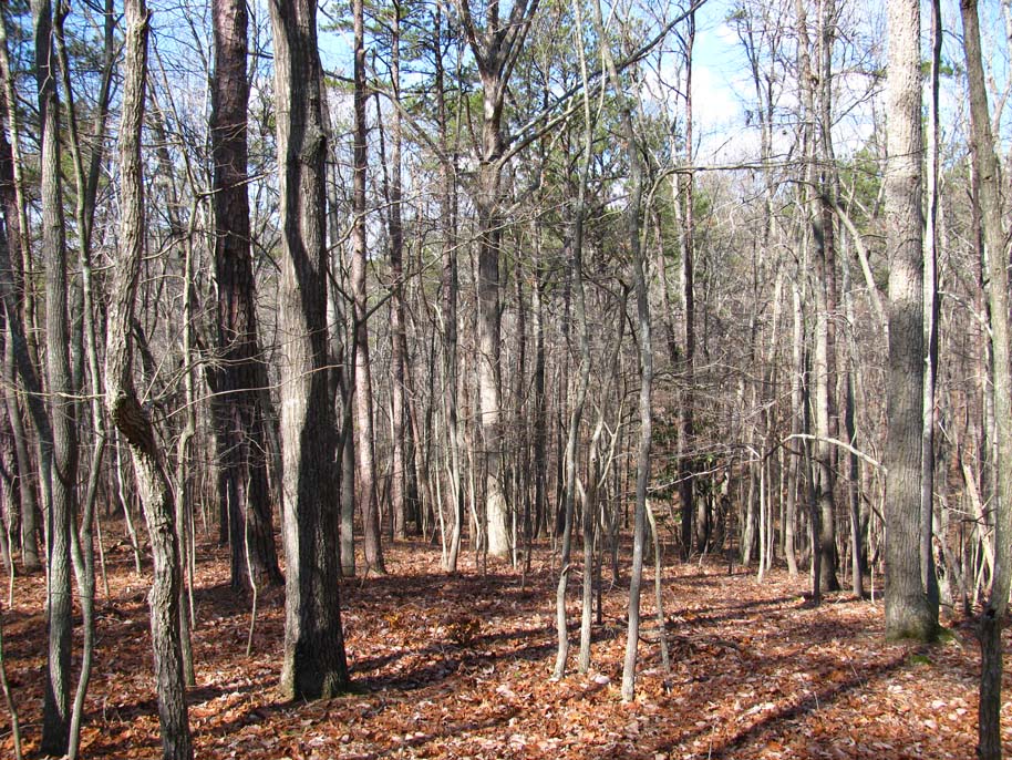 allatoona pass