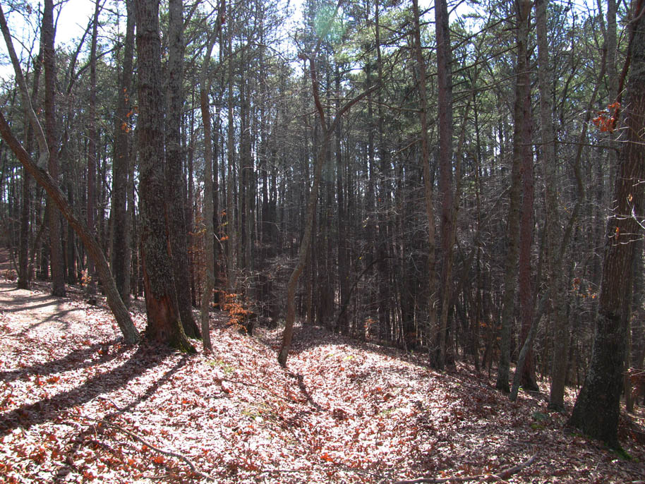 allatoona pass