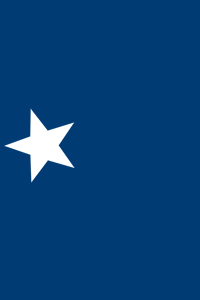 1st division 14th corps flag