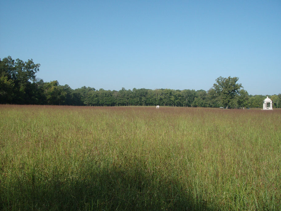  Chickamauga McDonald Field