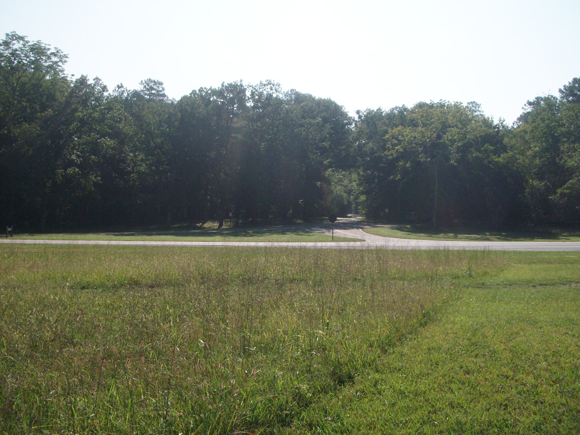 chickamauga mcdonald field