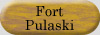 Fort Pulaski button